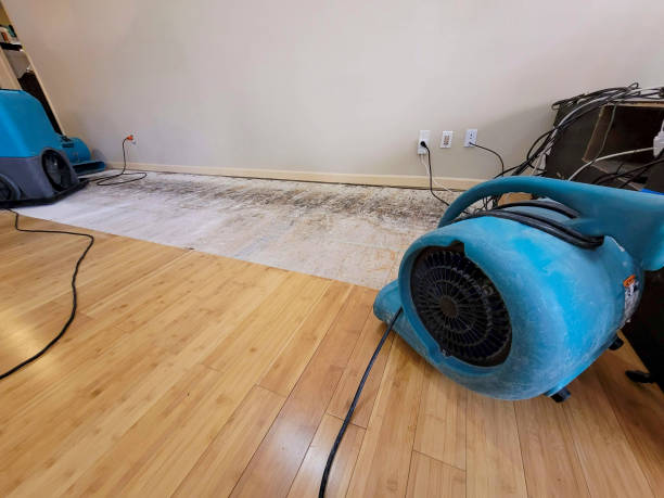 Professional Water Removal technician working in Gaylesville, AL
